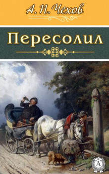 Пересолил