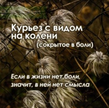 Курьез с видом на колени (сокрытое в боли)