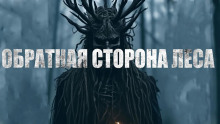 Обратная сторона леса