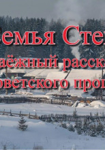 Семья Стень