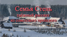 Семья Стень